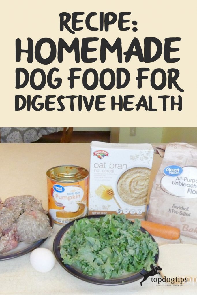 Recipe Homemade Dog Food for Digestive Health