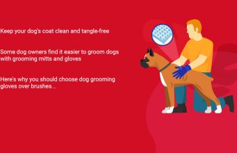 The Best Dog Grooming Mitts and Gloves The Best Dog Grooming Mitts and Gloves