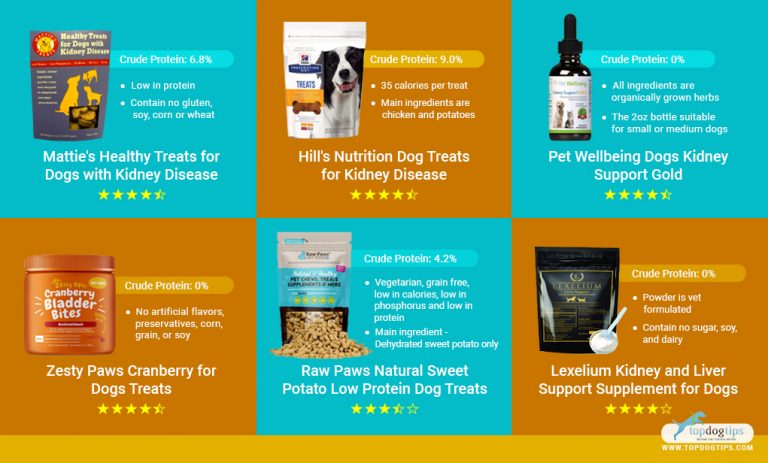 The Best Dog Treats For Kidney Disease Low Protein Dog Treats the-best-dog-treats-for-kidney-disease-low-protein-dog-treats