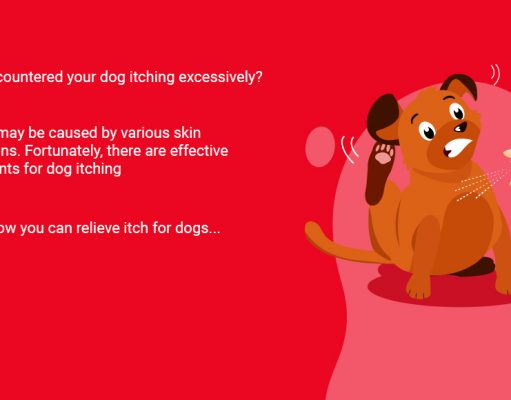 Top 5 Best Itch Relief for Dogs (Itchy and Hotspots) Top 5 Best Itch Relief for Dogs Remedies