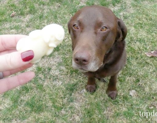 Dog Ice Cream Recipe: Apple and Honey ice cream for dogs recipe