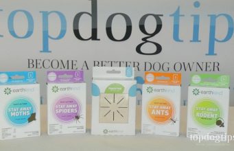 Review: Stay Away Natural Pest Control natural pest control