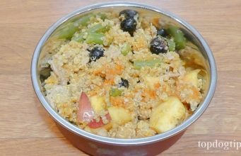 Recipe: Quinoa and Blueberry Homemade Dog Food quinoa and blueberry homemade dog food