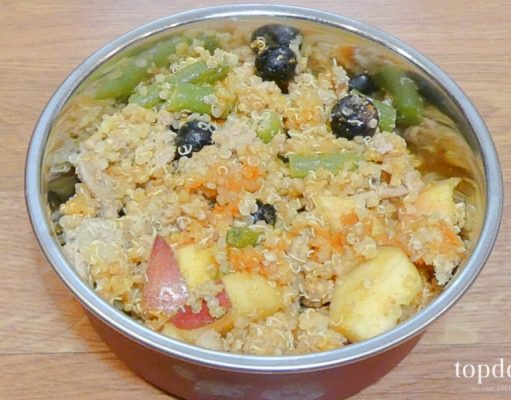 Recipe: Quinoa and Blueberry Homemade Dog Food quinoa and blueberry homemade dog food