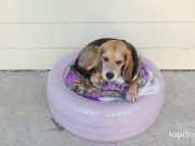 DIY Dog Bed Made with A Recycled Tire DIY Dog Bed