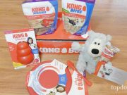 Review: KONG Box Subscription Box KONG Box Review