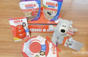 Review: KONG Box Subscription Box KONG Box Review