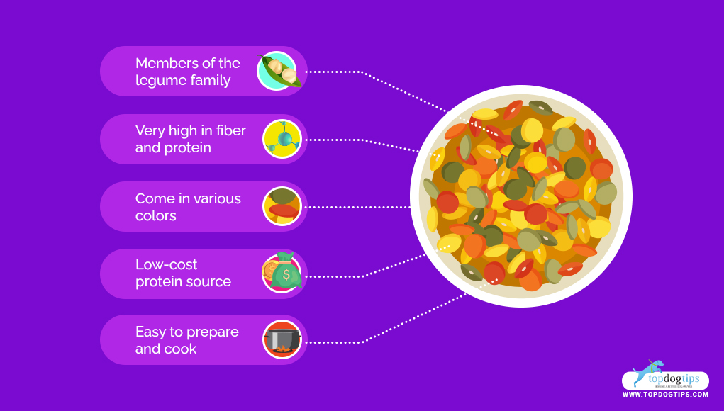 Lentils for Dogs 101 Can Dogs Eat Lentils and Are They Safe?