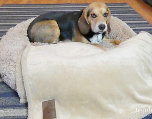 Review: Pet Craft Supply Calming Dog Bed Pet Craft Supply Calming Dog Bed