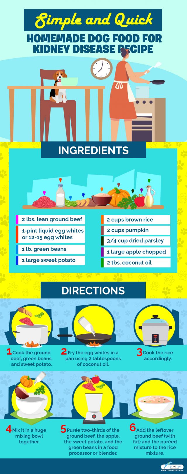 Homemade Dog Food for Kidney Disease Recipe Video (Quick, Simple)