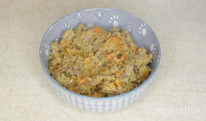 Stunning Homemade Diets For Dogs With Epilepsy image