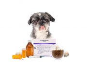 Top 6 Online Pet Medication Sites online pet medication sites