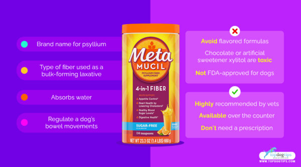 Metamucil for Dogs: Its Uses, Benefits and Side Effects - What Time Of Day Should I Take Metamucil