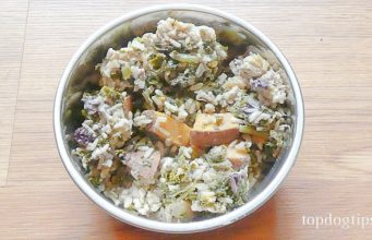Recipe: Nutritious Pork Dinner for Dogs Pork Dinner for Dogs