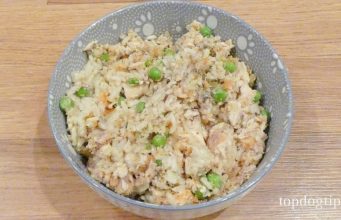 Recipe: Breaded Salmon Dinner for Dogs Salmon Dinner for Dogs