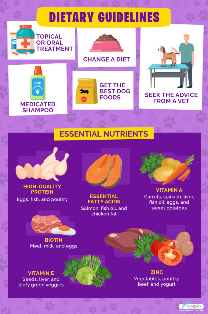 View of 10 Best Dog Food for Itchy Skin Brands Review (Updated 2024)