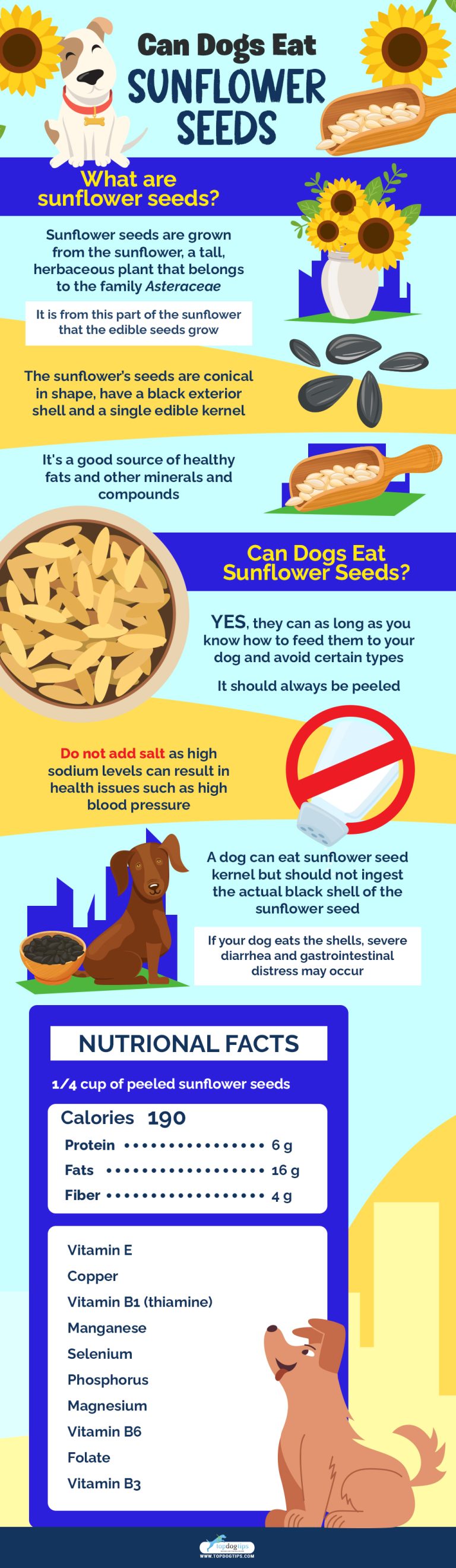 Can Dogs Eat Sunflower Seeds? 5 Benefits and 3 Side Effects