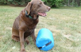 Review: ChuckIt! Travel Dog Bed ChuckIt! Travel Dog Bed