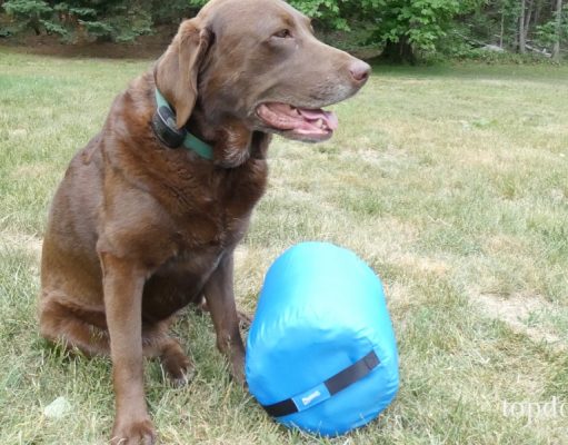 Review: ChuckIt! Travel Dog Bed ChuckIt! Travel Dog Bed