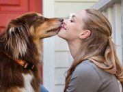 Bow Wow! 15 Hollywood Celebrities and their Dogs Bow Wow! 15 Hollywood Celebrities and their Dogs