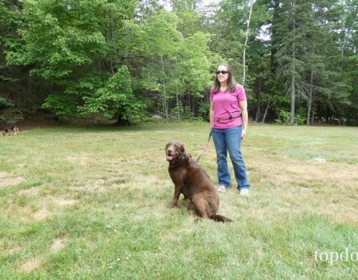 Review: 6-in-1 Kurgo Quantum Dog Leash Kurgo Quantum Dog Leash