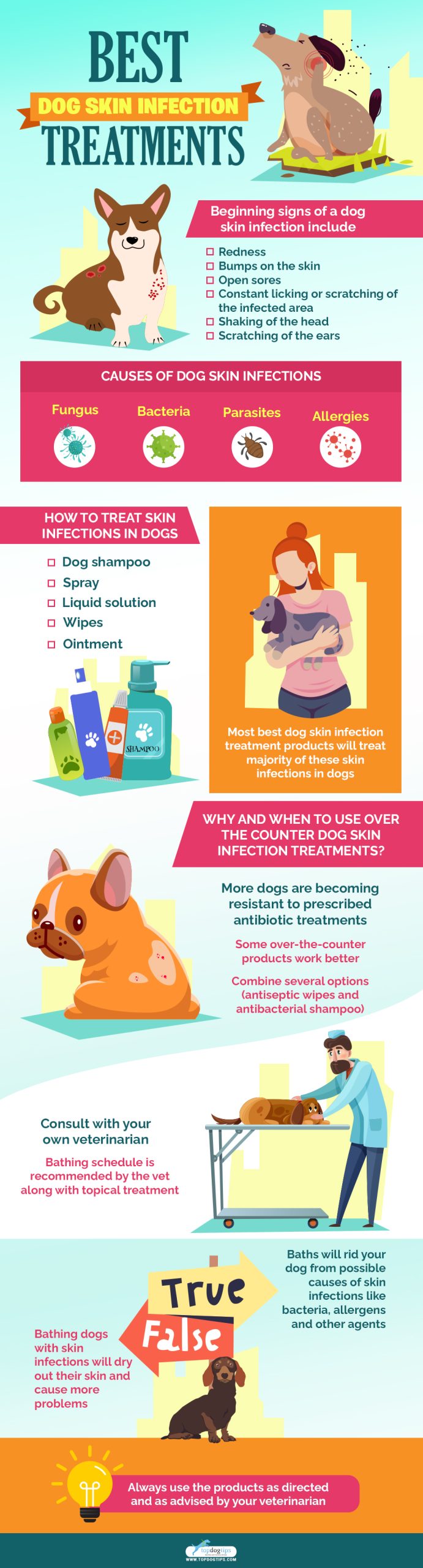 7 Best Dog Skin Infection Treatment (OvertheCounter Options in 2022)