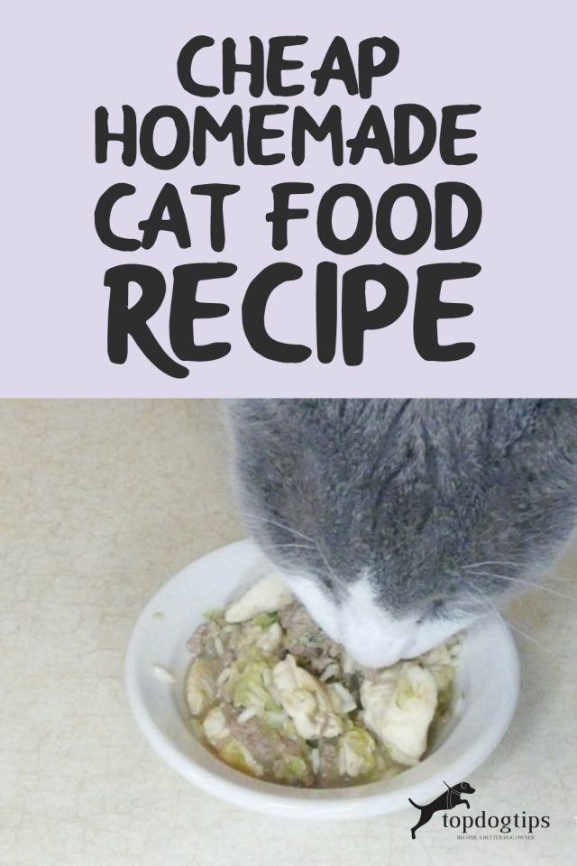 Cheap Homemade Cat Food Recipe Top Dog Tips