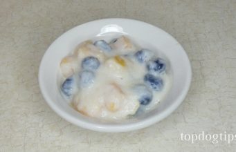 Recipe: Fruit Parfait Dog Treat Fruit Parfait for Dogs