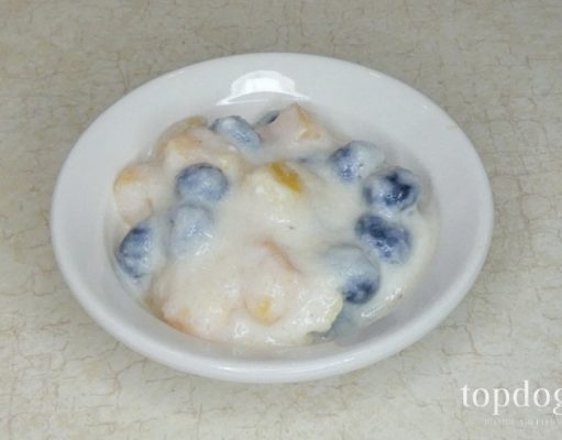 Recipe: Fruit Parfait Dog Treat Fruit Parfait for Dogs