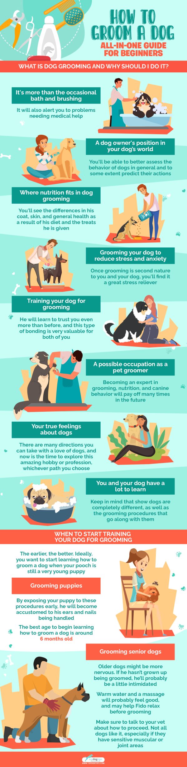 How to Groom a Dog The Largest FREE Course for Beginners (AllinOne)