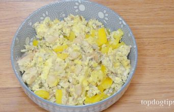 Recipe: Fish and Veggie Omelet for Dogs Veggie Omelet for Dogs