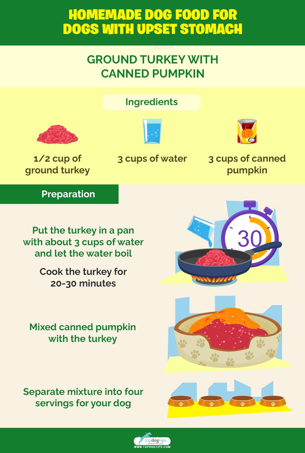 What to Feed a Dog With an Upset Stomach 