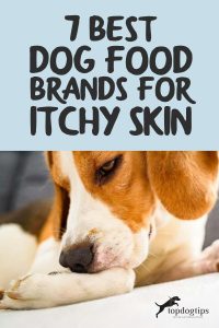 10 Best Dog Food for Itchy Skin Brands Review (Updated 2024)
