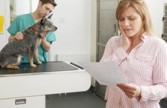Do You Need Pet Insurance? Your Guide to Insuring Your Pets Do You Need Pet Insurance?