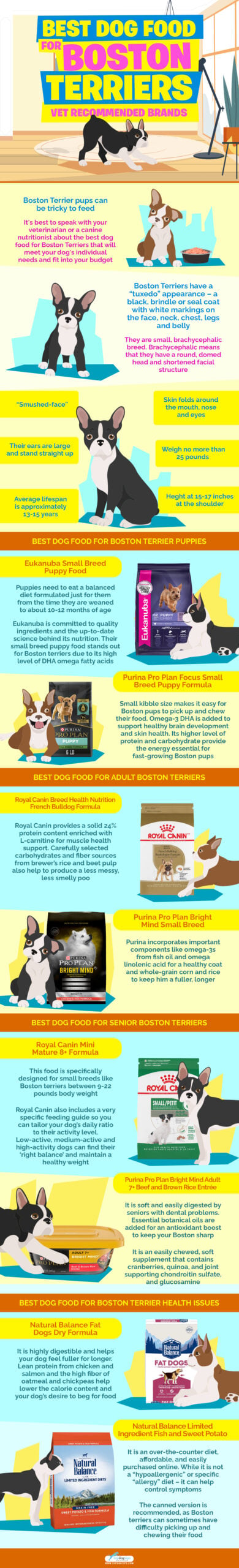 Best Dog Food for Boston Terriers