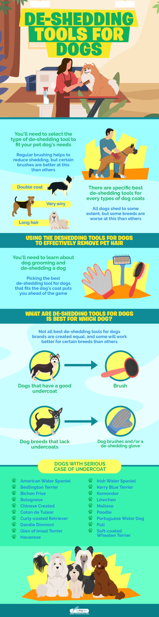 10 Best De-shedding Tools for Dogs in 2020