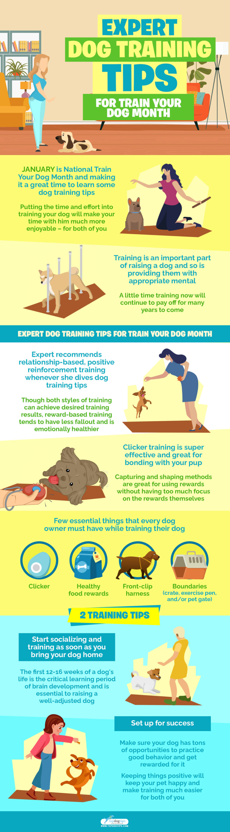 Interview: Expert Dog Training Tips for Train Your Dog Month – Top Dog Tips