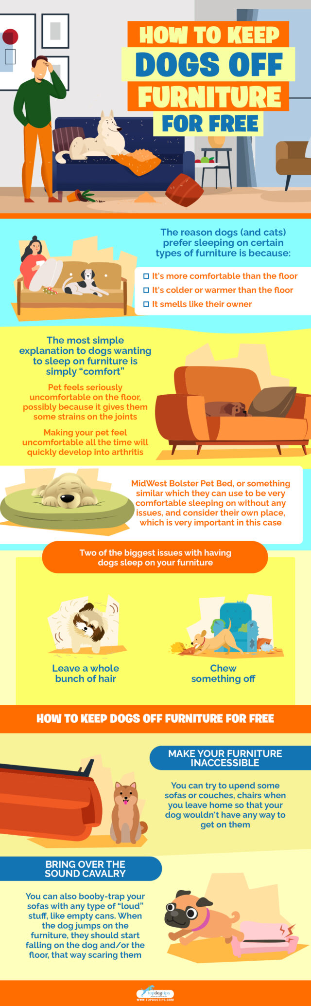 How to Keep Dogs Off Furniture for FREE Top Dog Tips