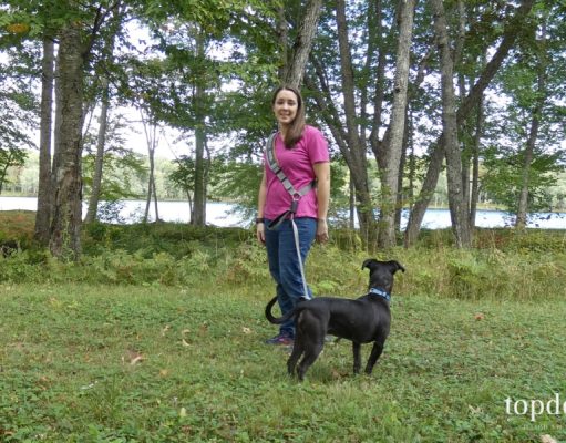 Review: LifeHandle Hands Free Dog Leash LifeHandle Hands Free Dog Leash Giveaway