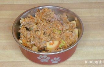 Meatloaf Recipe for Dogs with Fruits & Veggies Meatloaf Recipe for Dogs
