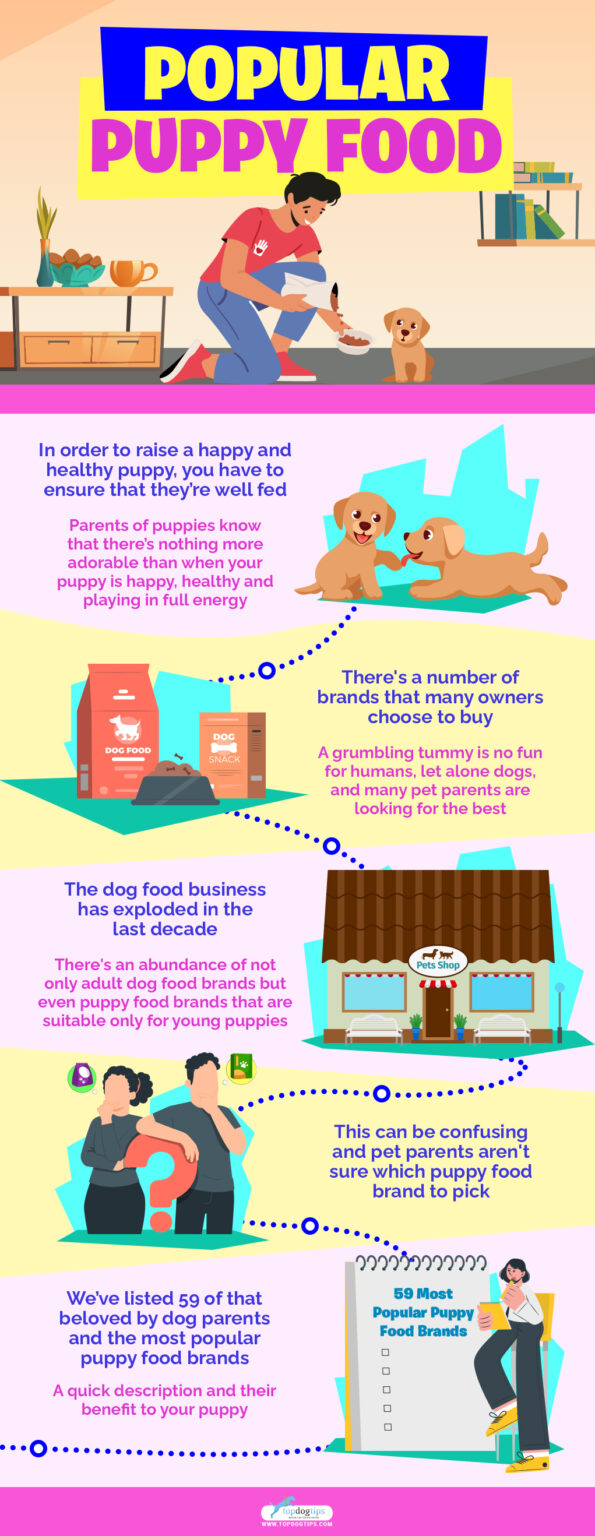 59 Most Popular Puppy Food Brands Top Dog Tips
