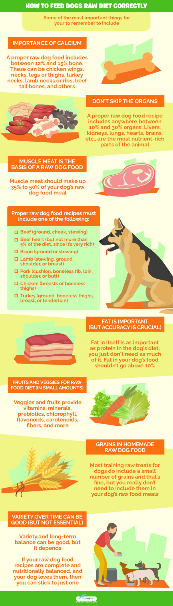 7 Best Raw Dog Food Recipes for Beginners (And How to Feed Raw Diet)
