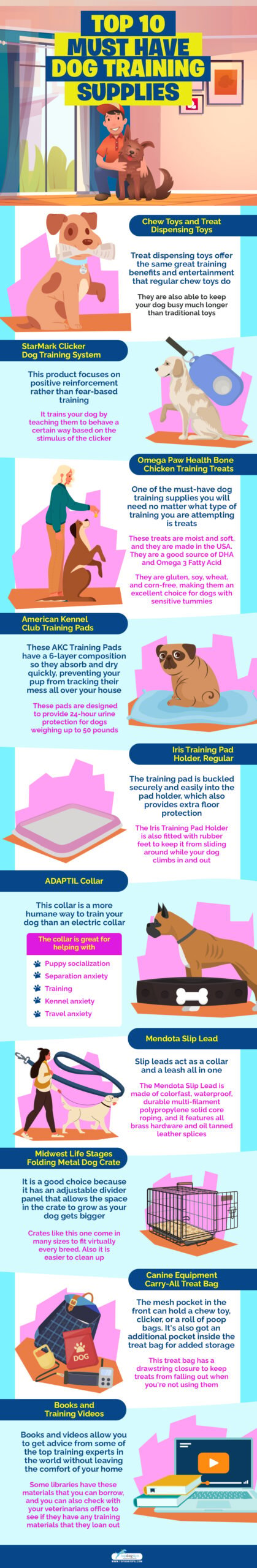 Must Have Dog Training Supplies infographics