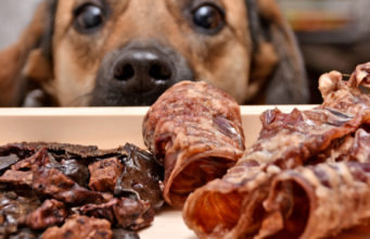 Homemade Puppy Food Recipes: Vet-Approved Homemade Puppy Foods and Treats Recipe: Vet-Approved