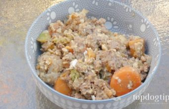 Recipe: Balanced Homemade Dog Food with Ground Beef balanced homemade dog food