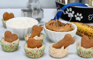 Easy and Healthy Homemade Treats for Your Puppy Homemade Treats for Your Puppy