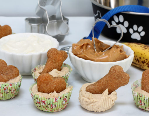 Easy and Healthy Homemade Treats for Your Puppy Homemade Treats for Your Puppy