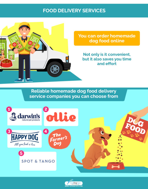 Homemade Dog Food The Complete Guide
