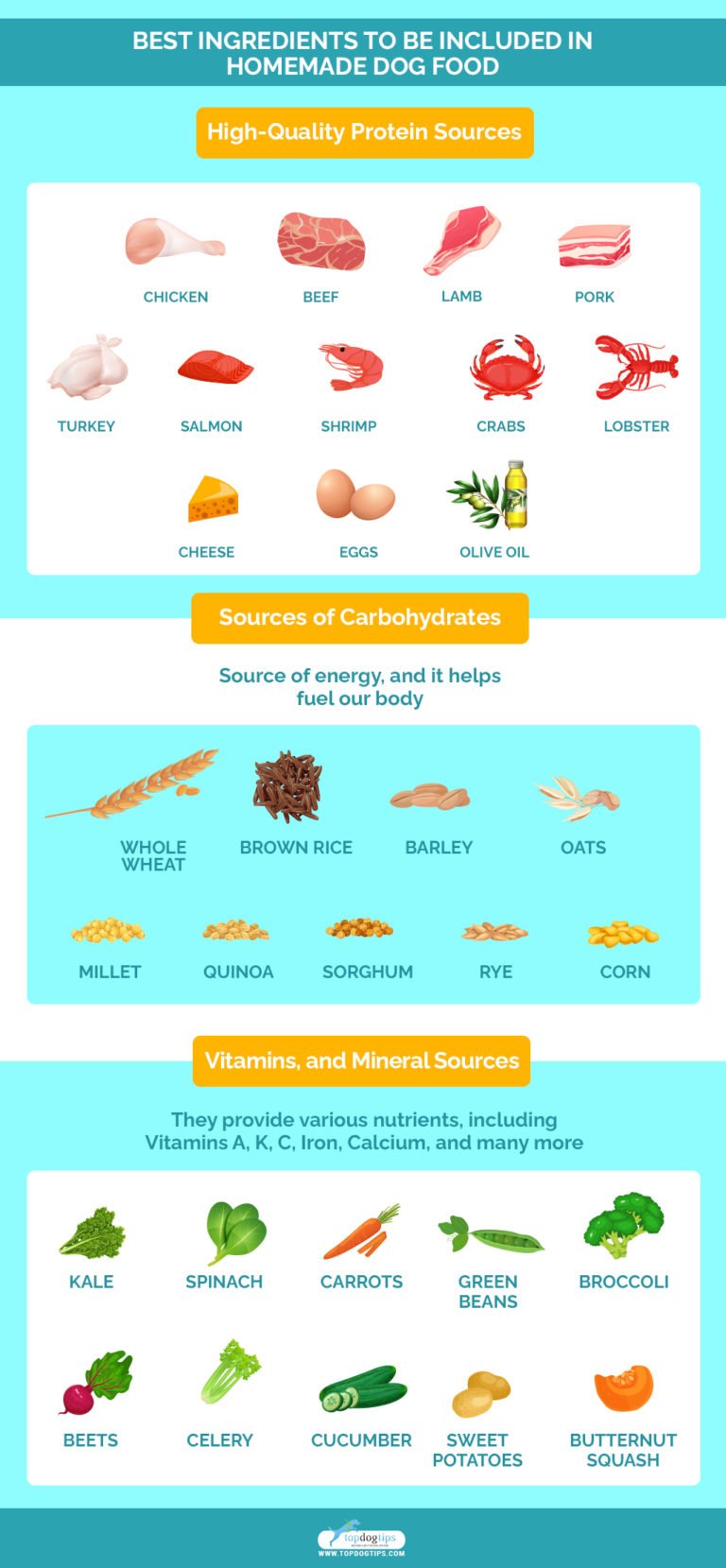homemade-dog-food-the-complete-guide