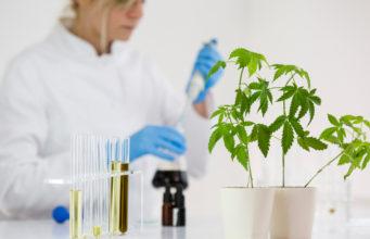 Certificate of Analysis on CBD Oil for Dogs cbd oil for dogs